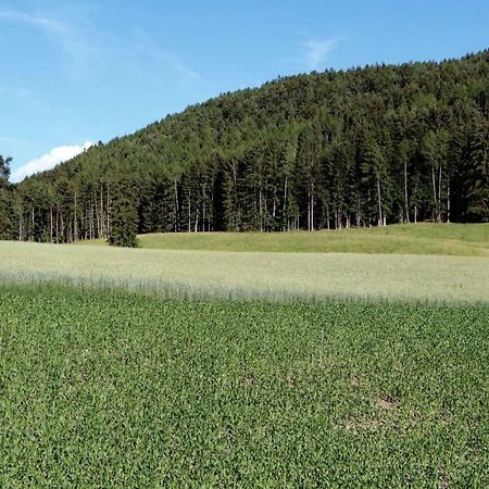 Spisserhof كيوزا المظهر الخارجي الصورة