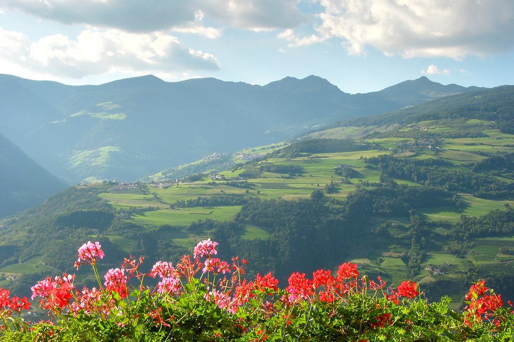Spisserhof كيوزا المظهر الخارجي الصورة
