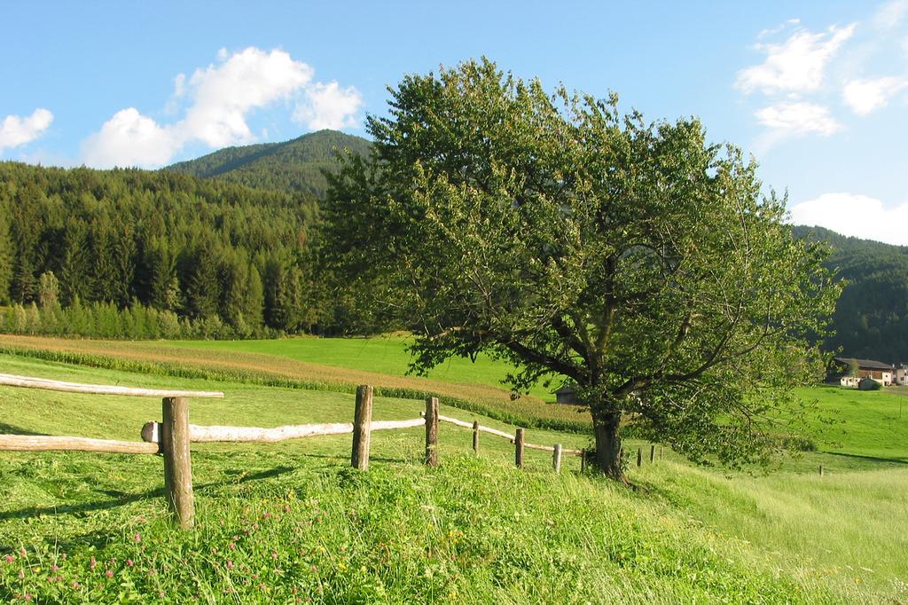 Spisserhof كيوزا المظهر الخارجي الصورة