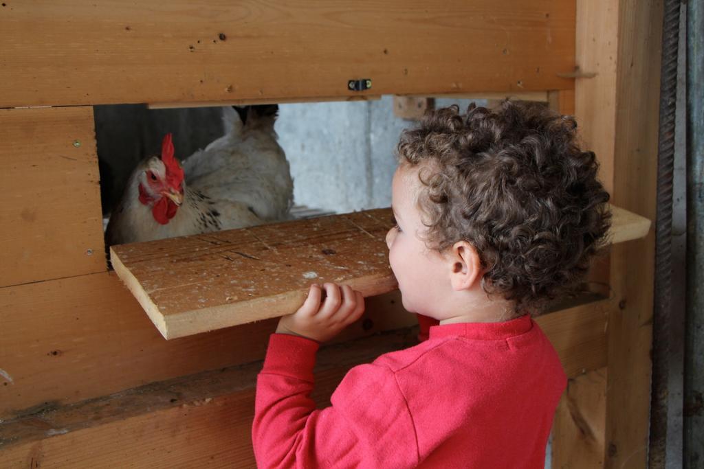 Spisserhof كيوزا المظهر الخارجي الصورة