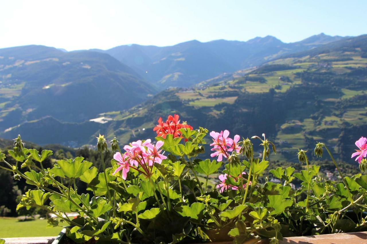Spisserhof كيوزا المظهر الخارجي الصورة