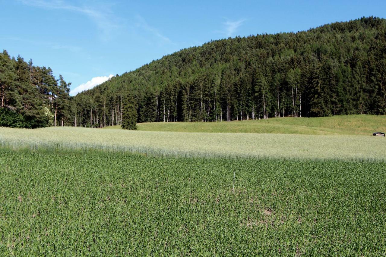 Spisserhof كيوزا المظهر الخارجي الصورة